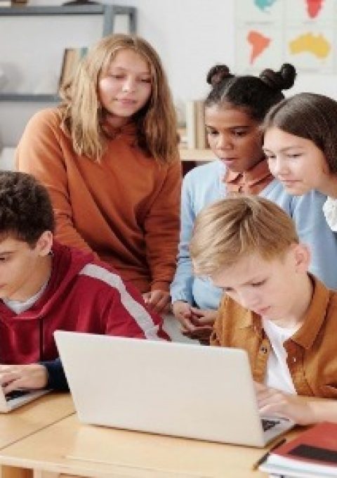 13de76e5-32b8-478d-963b-0f24806e0034